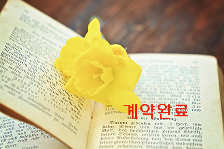 2d4978929ad8a8f3b39eccc711753c8d (2).png